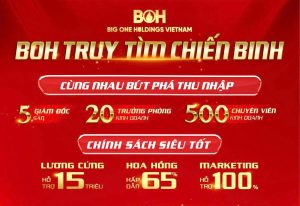 Thu nhập hấp dẫn tại Big One Holdings Vietnam