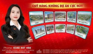 Quỹ dự của Big One Holdings Vietnam